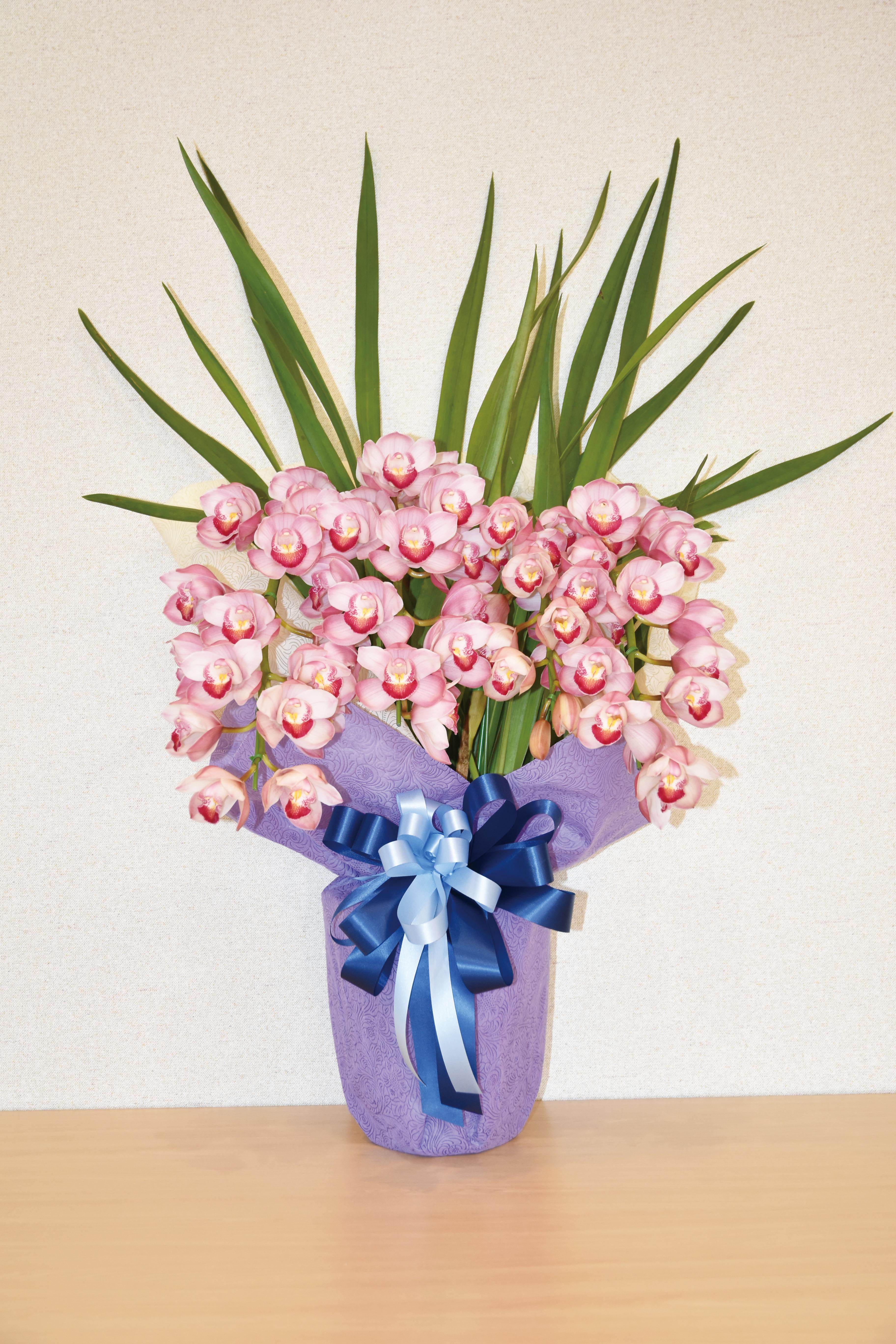 シンビジューム